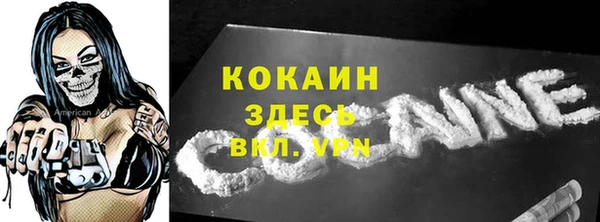 твердый Алексеевка