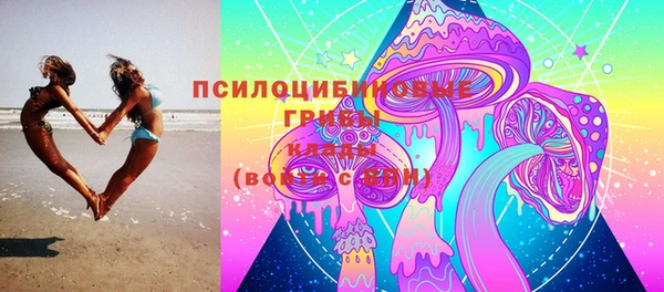 твердый Алексеевка