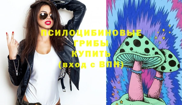 Альфа ПВП Алзамай